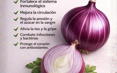 El Poder de la Cebolla morada. Para 👀👇 seguir recibiendo mis recetas, solo debes decir algo ¡Gracias!😍✨