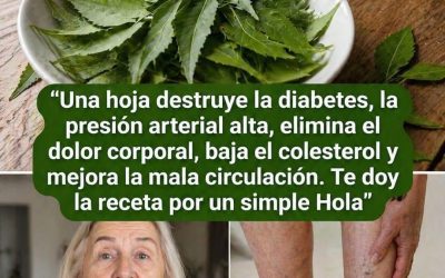 La hoja que muchos ignoran en casa. Su uso tradicional sorprende a quienes la prueban