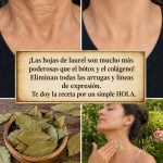 ¡Las hojas de laurel son mucho más poderosas que el bótox y el colágeno! Eliminan todas las arrugas y líneas de expresión. Necesito que digas algo para que sigas recibiendo mis recetas 🙏