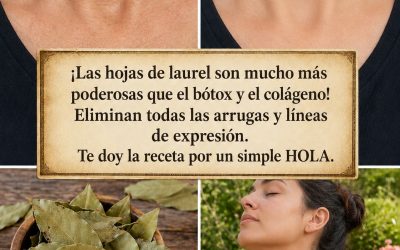 ¡Las hojas de laurel son mucho más poderosas que el bótox y el colágeno! Eliminan todas las arrugas y líneas de expresión. Necesito que digas algo para que sigas recibiendo mis recetas 🙏