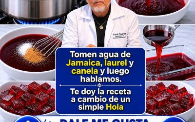 La flor de Jamaica el mejor jugo…. Ver mas