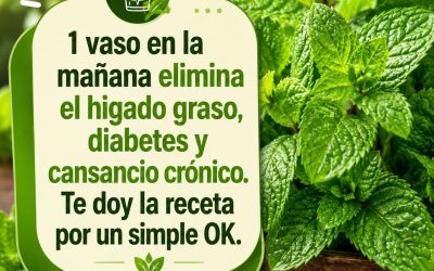 1 vaso en la mañana elimina el hígado graso, diabetes y cansancio.