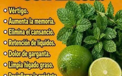 JUGO DE HIERBABUENA CON LIMÓN