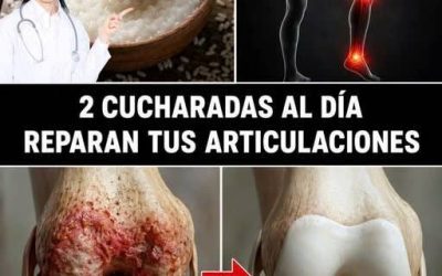 Un especialista en huesos y articulaciones de 97 años revela: ¡UN solo alimento reconstruye el cartílago de la rodilla en 24 horas! 👇 Te doy la receta a cambio de un simple ” OK “.