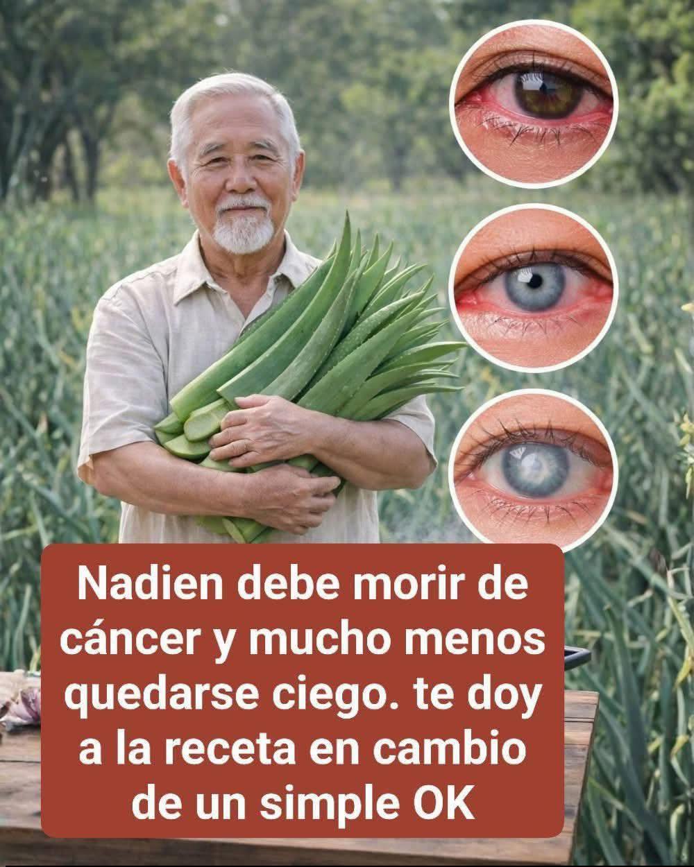 Recetas Saludables: Canela y Aloe Vera
