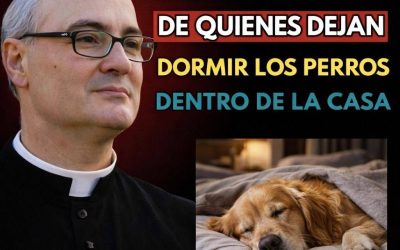 Un sacerdote reveló lo que ocurre en las casas donde hay perros que duermen dentro