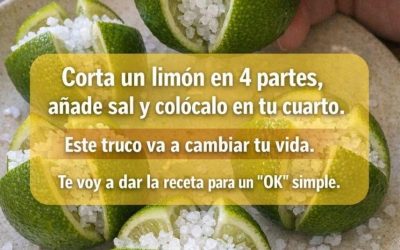 Colocar Limones con Sal en el Dormitorio: Beneficios Sorprendentes para el Ambiente y el Bienestar