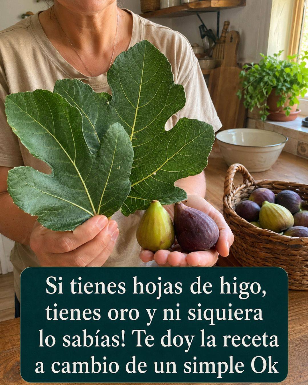 🍃 Si Tienes Hojas de Higo, Tienes un Tesoro – Escribe “OK” y Descubre Cómo Usarlas. Receta en el primer comentario