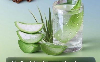 Recetas Saludables: Canela y Aloe Vera