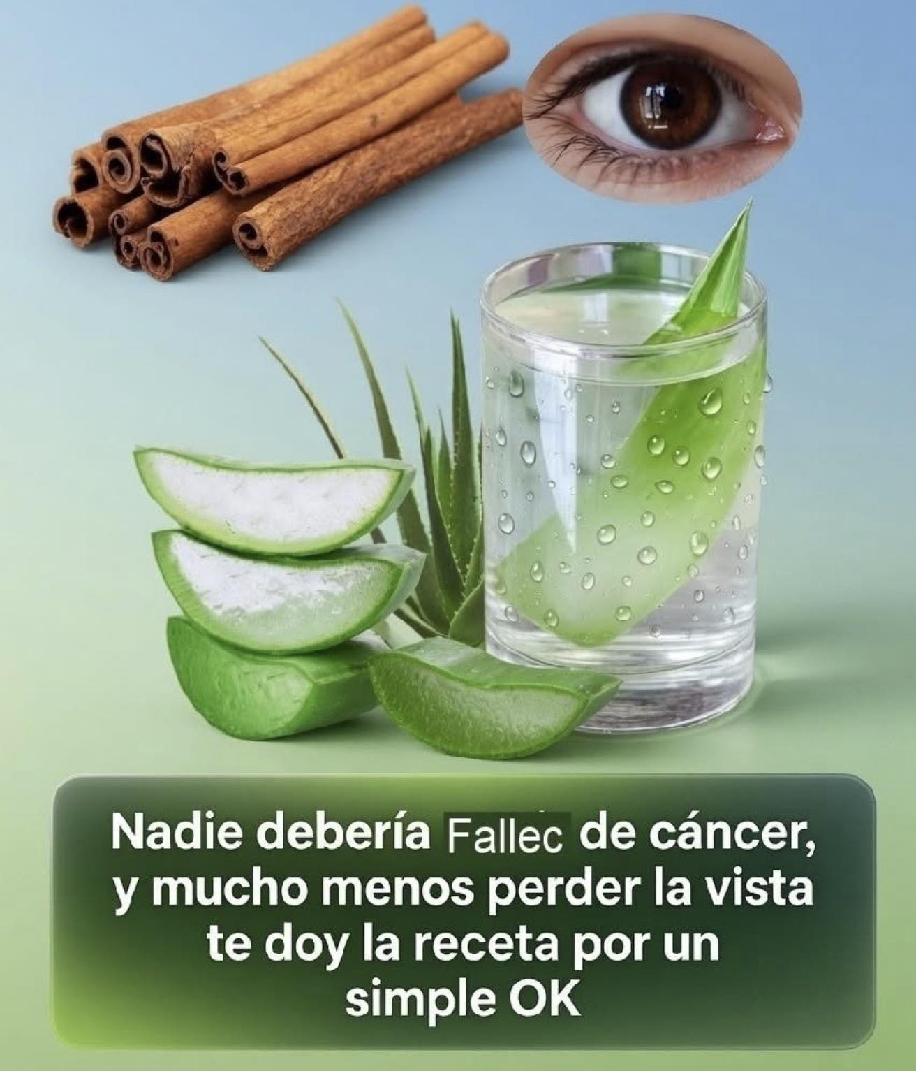Recetas Saludables: Canela y Aloe Vera