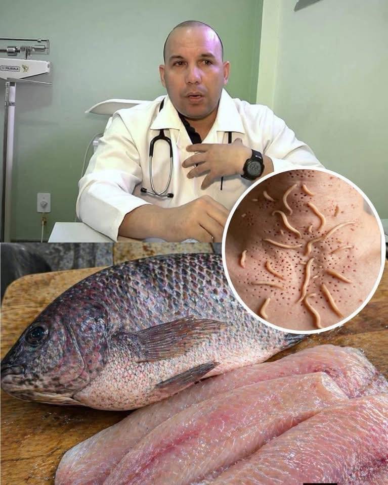 RAZONES POR LAS QUE NO DEBES COMER TILAPIA