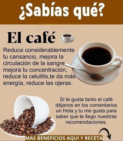 El fascinante origen del café y sus variedades más conocidas
