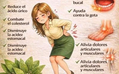 𝗧𝗲́ 𝗱𝗲 𝗹𝗮𝘂𝗿𝗲𝗹 𝘆 𝗰𝗮𝗻𝗲𝗹𝗮👇..… ¡𝗚𝗿𝗮𝗰𝗶𝗮𝘀.. 𝗣𝗮𝗿𝗮 𝘀𝗲𝗴𝘂𝗶𝗿 𝗿𝗲𝗰𝗶𝗯𝗶𝗲𝗻𝗱𝗼 𝗺𝗶𝘀 𝗿𝗲𝗰𝗲𝘁𝗮𝘀, 𝘀𝗼𝗹𝗼 𝗱𝗲𝗯𝗲𝘀 𝗱𝗲𝗰𝗶𝗿 𝗮𝗹𝗴𝗼… ¡𝗚𝗿𝗮𝗰𝗶𝗮𝘀.