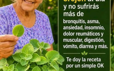 Con solo una hojita de orégano orejona no sufriras más…. Ver más