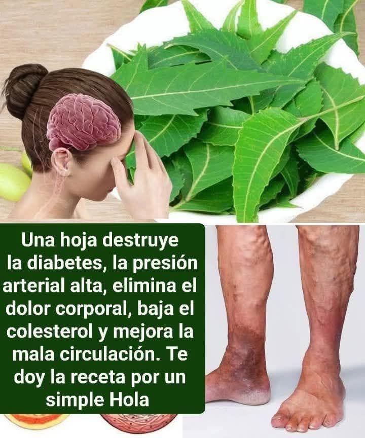 Descubre los Beneficios de las Hojas de Neem para tu Salud