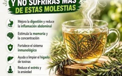 Té de Romero: Para Qué Sirve, Beneficios y Cómo Prepararlo Correctamente