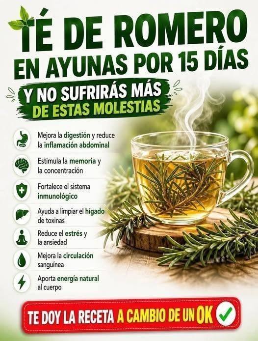 Té de Romero: Para Qué Sirve, Beneficios y Cómo Prepararlo Correctamente