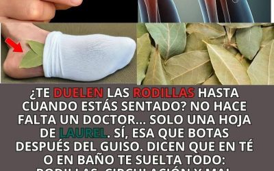 Solo necesitas una hoja de laurel para ayudar a tus rodillas…