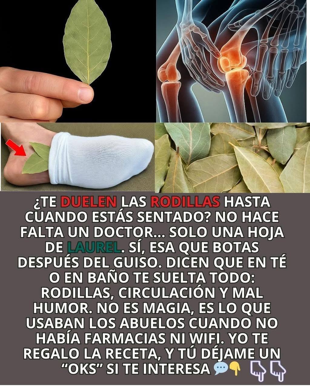 Solo necesitas una hoja de laurel para ayudar a tus rodillas…