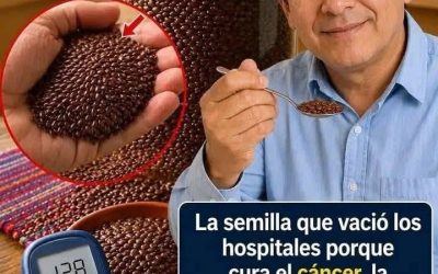 La semilla milagrosa….. Ver mas