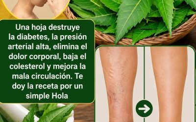 Descubre los Beneficios de las Hojas de Neem para tu Salud