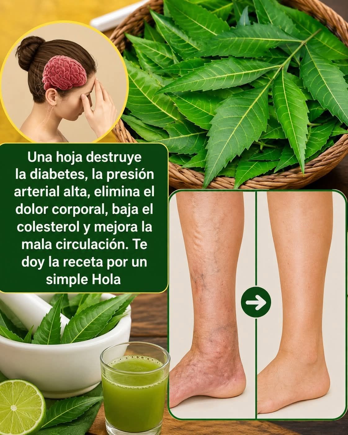 Descubre los Beneficios de las Hojas de Neem para tu Salud