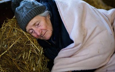 Mi nuera me echó de mi propia casa y me hizo vivir en un viejo granero de vacas — Pero no imaginó lo que estaba por suceder