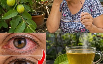 🌿 Cómo usar la guayaba para cuidar tus ojos: Remedios naturales que sorprenden