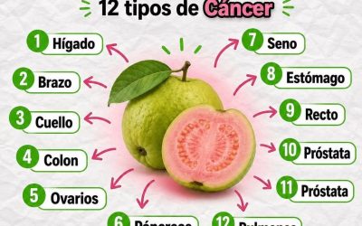 Té de Hojas de Guayaba: beneficios, propiedades y como prepararlo