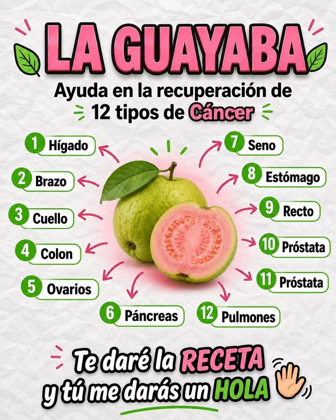 Té de Hojas de Guayaba: beneficios, propiedades y como prepararlo