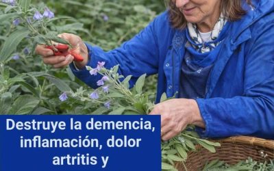 Destruye la demencia, inflamación, dolor artritis y osteoporosis ,No gastes demasiado en la farmacia. Te doy la receta