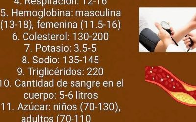 JUGO DE HIERBABUENA CON LIMÓN