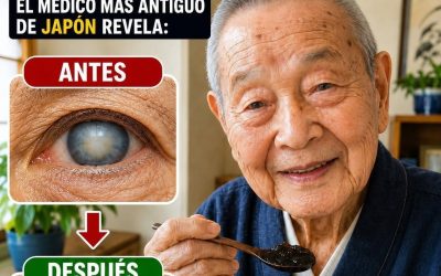 El médico más anciano de Japón: Come ESTO antes de acostarte para mejorar tu vista mientras duermes. Te daré la receta completa a cambio de un simple “OK”.