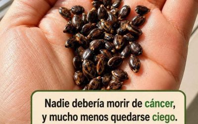 Esta es la fruta que debe comer para prevenir Mira el siguiente video La guanábana es la fruta del guanábano, un árbol de las Antillas. Es de la familia de las anonáceas y tiene una altura de unos seis a ocho metros. Su aspecto: tronco recto de corteza lisa y color gris oscuro; hojas lanceoladas y lustrosas de color verde intenso por encima y blanquecinas por el envés; y grandes flores de color blanco te dejamo éste video  Este árbol frutal es originario de la América tropical (probablemente de las llamadas Indias Occidentales), pero también se cultiva en otras regiones tropicales y subtropicales del mundo, incluyendo la India.video  Guanábana: una deliciosa fruta tropical El fruto de este árbol es la guanábana, una deliciosa fruta de forma acorazonada, con pulpa blanca y de corteza verdosa con púas débiles. Su sabor: refrigerante y azucarado a la par. Se trata de un alimento tradicional en países como México, Perú, Venezuela, Brasil o Colombia video  Beneficios y usos de la guanábana La guanábana es popular y exótica. Se pueden aprovechar el fruto, las hojas, las flores, el tallo, la corteza y las raíces. Por ejemplo, tradicionalmente, las hojas se han utilizado con fines medicinales, en enfermos de paperas, personas que padecen de insomnio y nerviosismo. También se utilizan hojas para preparar té, recomendado para el alivio de refriados. Otra opción es consumir el fruto en batidos o incluso fresco.  Según la Universidad de Texas en El Paso, estos son todos los usos y propiedades de guanábana mira el vídeo aquí abajo  En la medicina tradicional, el fruto y las hojas se usan para aliviar problemas digestivos (incluyendo la diarrea), dolor, hipertensión arterial, inflamación, fiebre, tos y asma, entre varias otras dolencias. Contiene varios nutrientes incluyendo las vitaminas y minerales. Disminuye tensión arterial, gracias a su alto contenido en potasio y bajo en sodio. Ayuda a prevenir la osteoporosis, al ser rica en fósforo, hierro y calcio. Es antioxidante, por su alto contenido vitamina C  El té hecho con las hojas posee una acción calmante y suave, especialmente contra el insomnio y alteraciones nerviosas, pero no se debe usar en niños pequeños. Las semillas pueden ser tóxicas y se trituran para hacer un líquido utilizado para lavar el cabello y eliminar los piojos. Se debe tener mucha cautela al utilizarlo, ya que el líquido es muy irritante para los ojos  Las hojas y fruta contienen compuestos naturales, que pudieran ser beneficiosos para el cuidado de la próstata. Los extractos de la guanábana pueden servir para tratar a las úlceras gástricas. Algunos extractos de la cáscara del fruto han demostrado su utilidad en relación a la actividad antimicrobiana te explicamos en este vídeo          Ayudanos a compartir en tu estado de tu whatsapp
