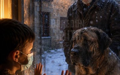El Anciano, el Perro con Cicatrices y el Niño que Esperaba Tras la Ventana