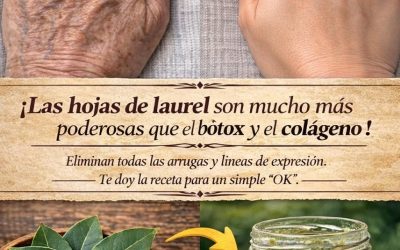 ¡Las hojas de laurel son mucho más poderosas que el bótox y el colágeno! Eliminan todas las arrugas y líneas de expresión. Necesito que digas algo para seguir recibiendo mis recetas.🙏