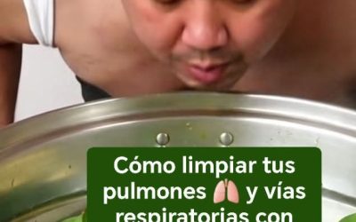 Cómo limpiar pulmones y vías respiratorias con eucalipto