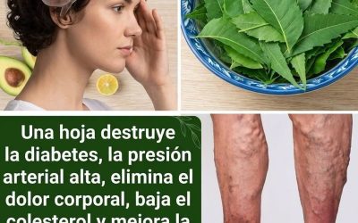 La hoja milagrosa MAS PODEROSA;