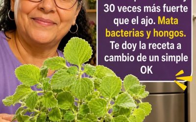 ¿Orégano Oregón 30 veces más fuerte que limón y ajo? Así lo usan para bacterias y hongos. Comenta OK por la receta