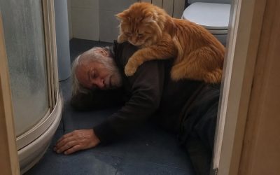 Seis horas en el suelo helado: mi gato aulló y me devolvió la familia