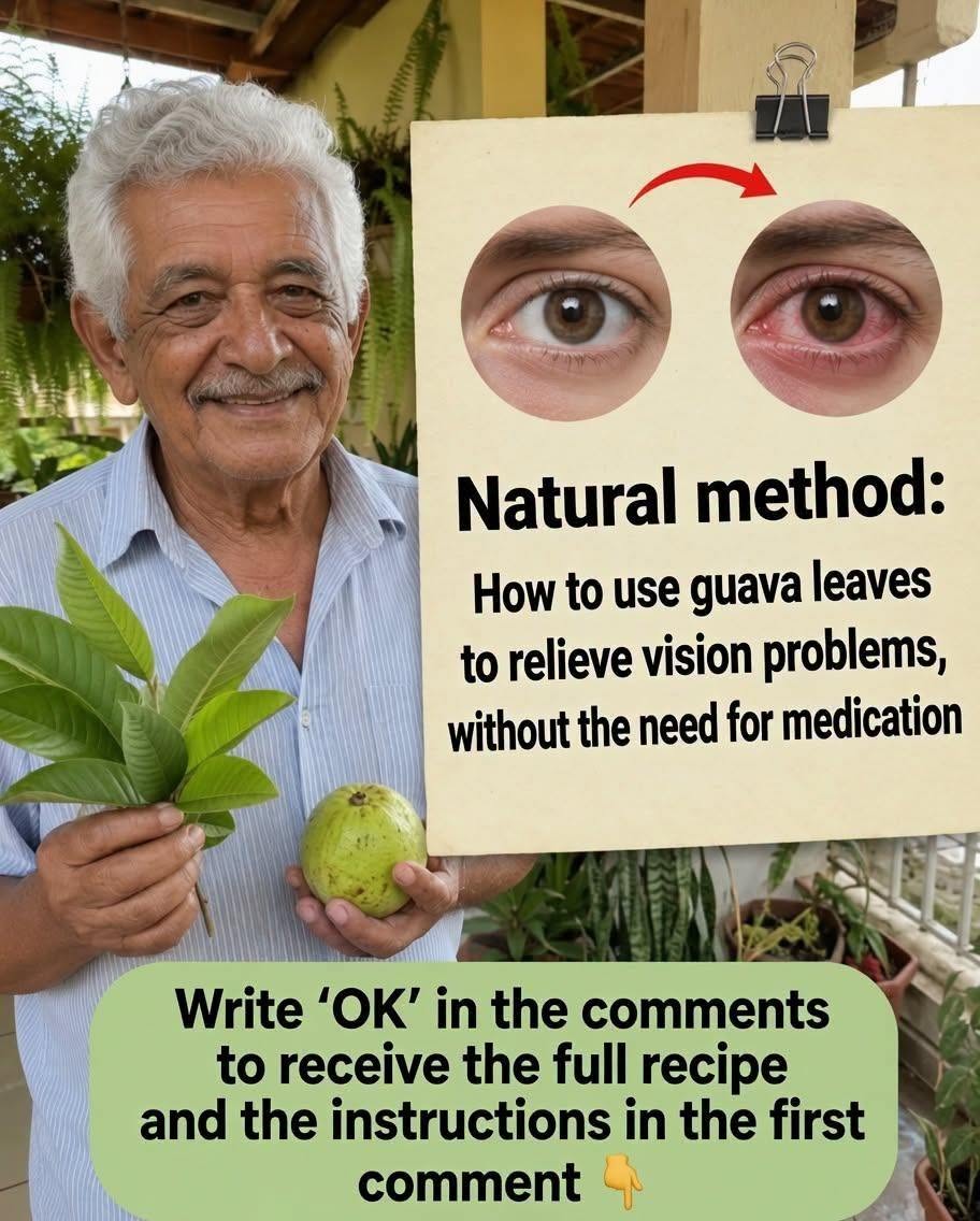 Remedio natural: usa hojas de guayaba para tratar problemas oculares, mejorar la visión y aliviar el dolor y la fatiga visual, especialmente a medida que envejeces o después de pasar mucho tiempo…