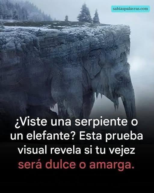 ¿Qué viste a primera vista? ¡El 97% de las personas vio una serpiente! ¡Descubre si tu vejez será amarga o dulce!👇🏻👇🏻💬