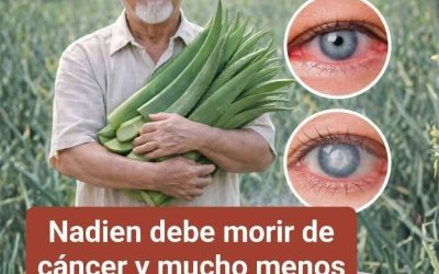 7 Beneficios Científicos del Aloe Vera y Cómo Prepararlo en Casa